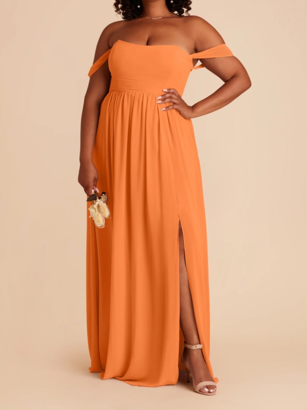 Birdy Grey August Chiffon Dress in Apricot
